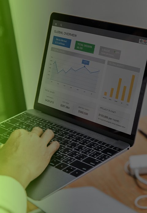 Professional Search Engine Optimization Services by Digi Global Services